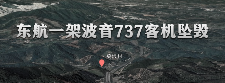 12313132.png